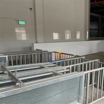 Pasaje de acero inoxidable para conducir cerdos vivos