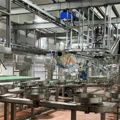 Pork Slaughtering Assembly Line